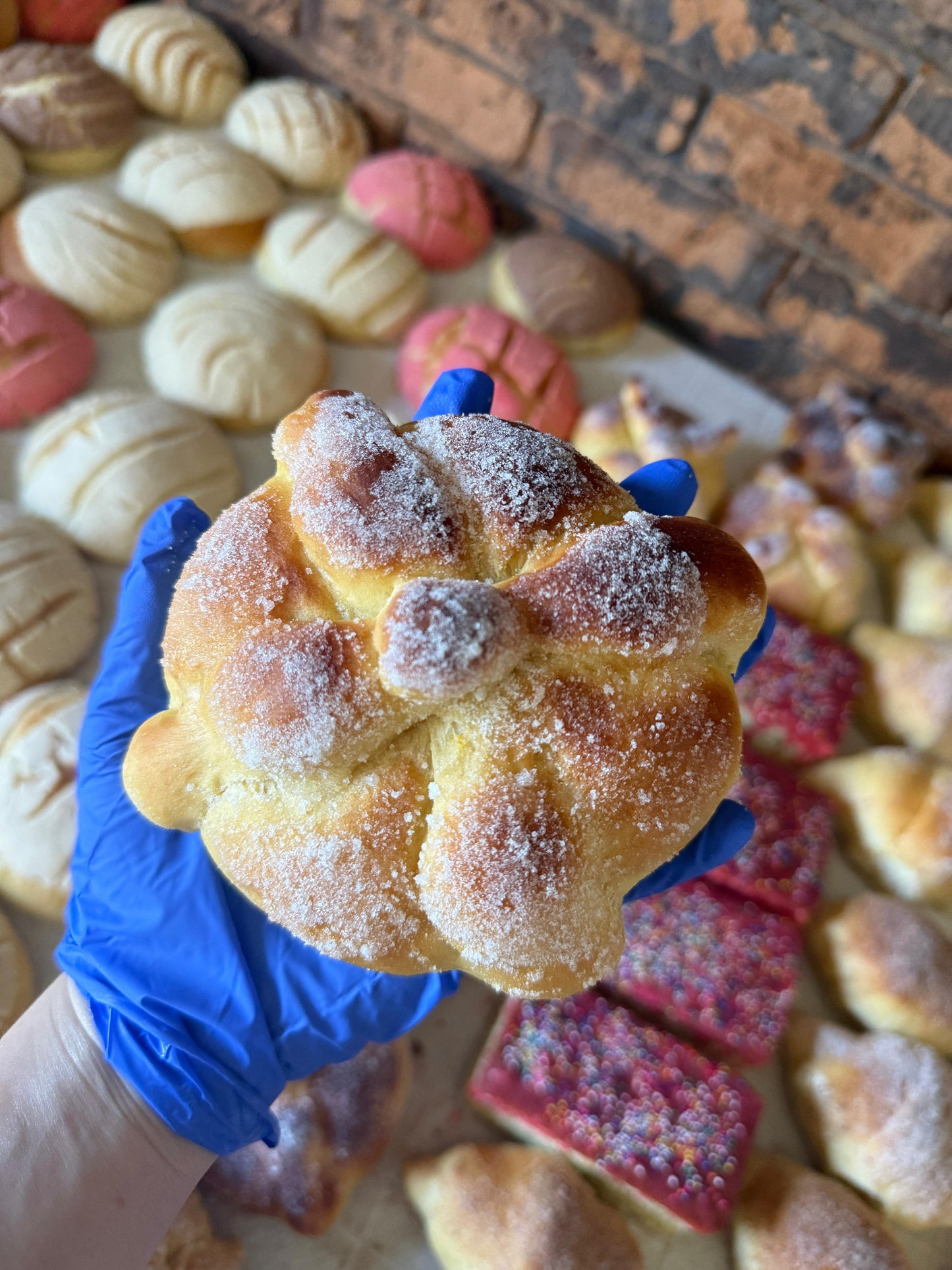 Pan de muerto (day of the dead bread) minimum order 12 pieces