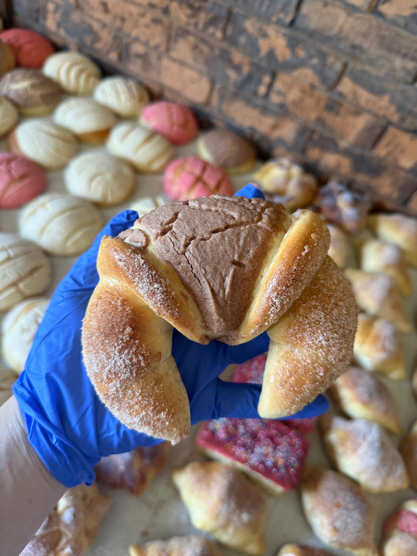 Cuernitos (horns sugar and cinnamon coated)